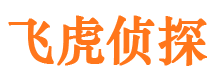 隆安侦探公司